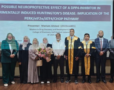 Marium Ansari Master's Thesis