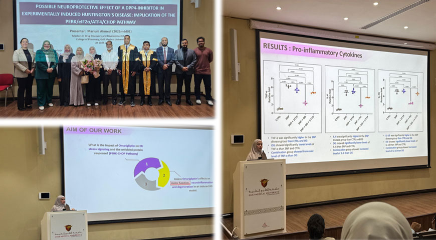 Marium Ansari Master's Thesis Marium Ansari Master's Thesis